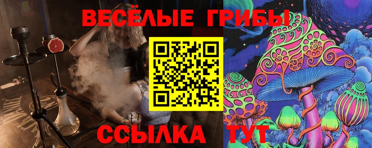 Галлюциногенные грибы Psilocybine cubensis Конаково