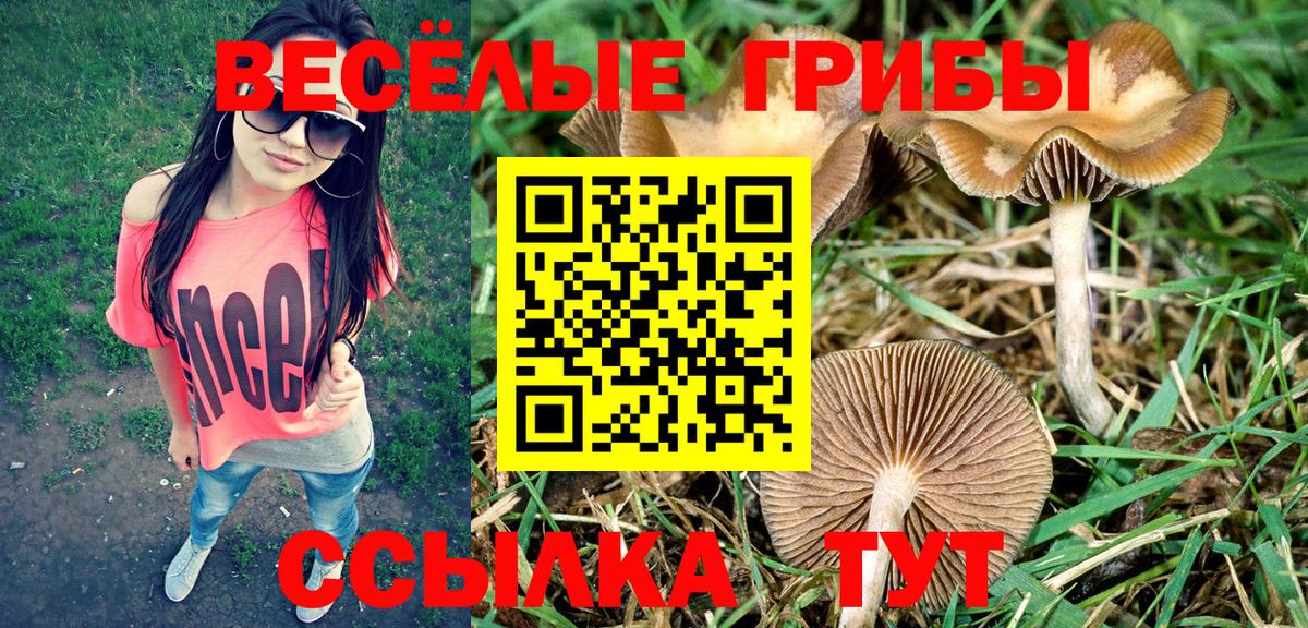 Конаково  Псилоцибиновые грибы Psilocybe  Псилоцибиновые грибы мухоморы  Вход с VPN 
